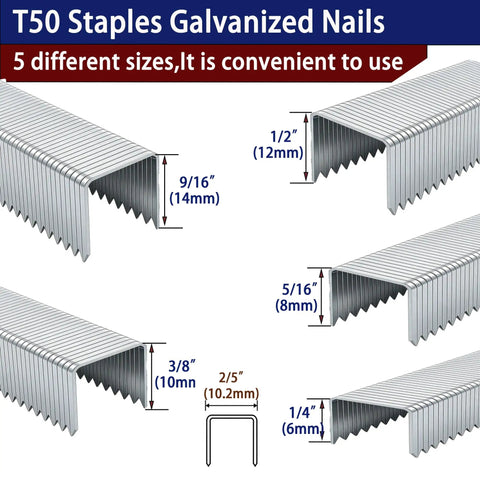 Heavy Duty T50 Staples In 20 Gauge Galvanized Steel With 6000 Pieces Mixed Size Set showing various staple sizes for crafting and framing.