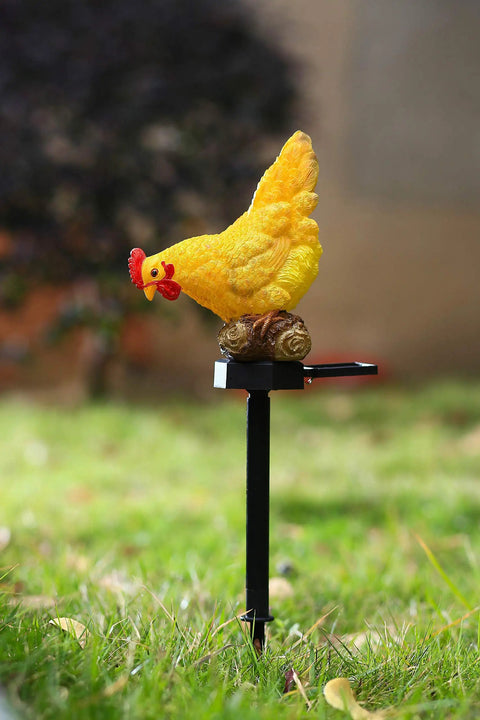 Outdoor Chicken Solar Lights Resin Garden Decor For Patio And Yard cute chicken lamp on grass.