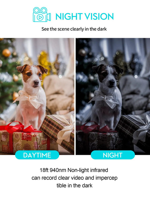Comparison of dog with Ultra Compact 1080P Spy Camera's daytime and night vision features