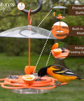 Go-To Multi-Station Oriole Feeder With Ant Moat And Weather Baffle, orange feeder with feeding orioles in backyard setting