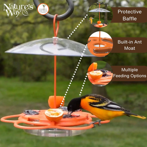 Go-To Multi-Station Oriole Feeder With Ant Moat And Weather Baffle, orange feeder with feeding orioles in backyard setting