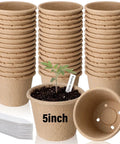 30 Pack 5 Inch Biodegradable Seed Starter Pots With Drainage Holes And Plant Tags, stacked, with one pot planted with a seedling.