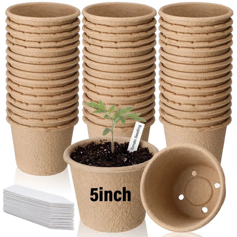 30 Pack 5 Inch Biodegradable Seed Starter Pots With Drainage Holes And Plant Tags, stacked, with one pot planted with a seedling.