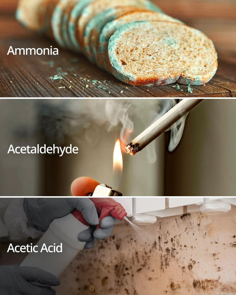 Image showing sources of odors neutralized by Airmega AP-1512HH Replacement Filter Set with True HEPA: moldy bread, cigarette smoke, cleaning mold.