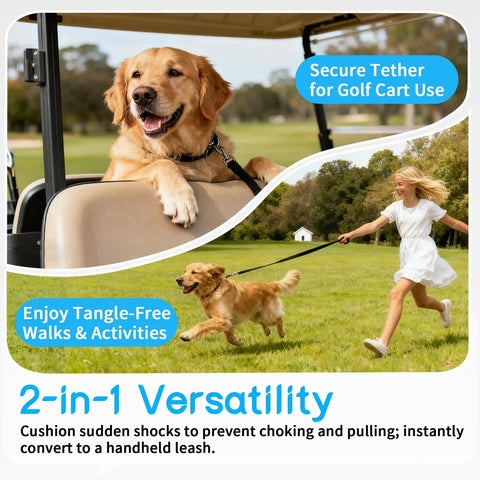 Solid Golf Cart Dog Seat Leash And Adjustable Safety Harness With Tangle-Free Retractable Strap shown with a golden retriever in a golf cart and on a leash.