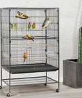 Natural Wood U Shaped Bird Perches For House Cage 2 Pack, Built Tough Parrot Toys in bird cage with colorful birds.