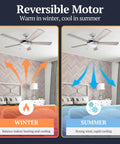 52 Inch Modern LED Ceiling Fan With Light Pull Chain Dual Mounting Options Chrome Finish Blades Reversible Motor Keeps Your Rooms Chill winter and summer
