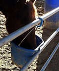 Breakaway Horse Tie For Safe Tie Outs No Slip Quick Release attached to a fence with a horse drinking from a blue bucket