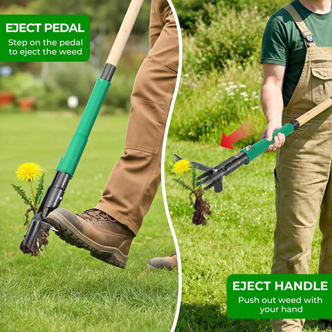Stand Up Weed Puller With Two Weed Ejects, 43.7 Inch Long Handled Garden Weeder demonstrating foot pedal and hand use.