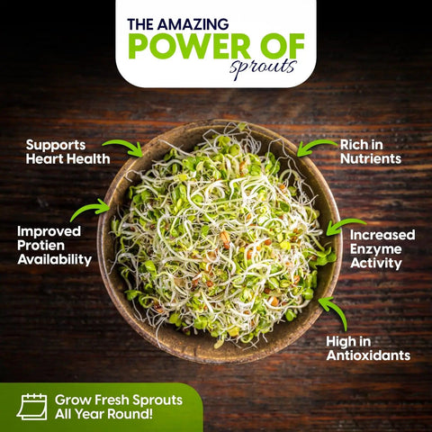 Bowl of sprouts highlighting benefits like heart health support and nutrient richness, related to 4 Tier Sprouting Kit With Stackable Trays And Drain Spout For Home Sprouts, Grows Fresh Sprouts In 3 To 5 Days, Self Draining And BPA Free Seed Sprouter For Broccoli, Alfalfa, Mung Beans, Lentils, And Clover For Home Cooks And Plant Based Eaters.