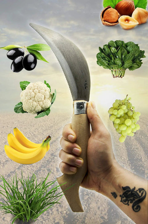 Hand holding Compact Folding Garden Sickle 12 Inch Hand Weeder With Serrated Blade For Lawn And Garden Care among fruits