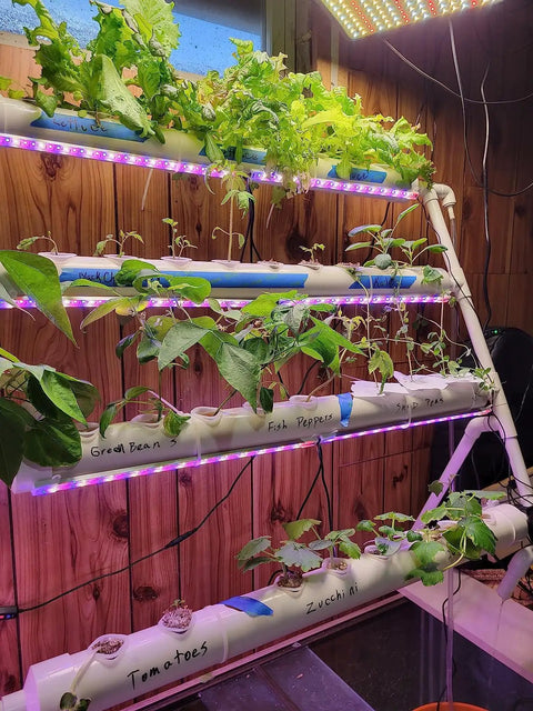 High-Yield Hydroponics Growing System Kit With 36 Plant Sites And Automated Watering setup with plants in PVC pipes under LED lights