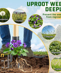 Stand Up Weed Puller Tool With Long Handle And 4 Claw Steel Head uprooting weeds deeply, showing plant roots and soil penetration.