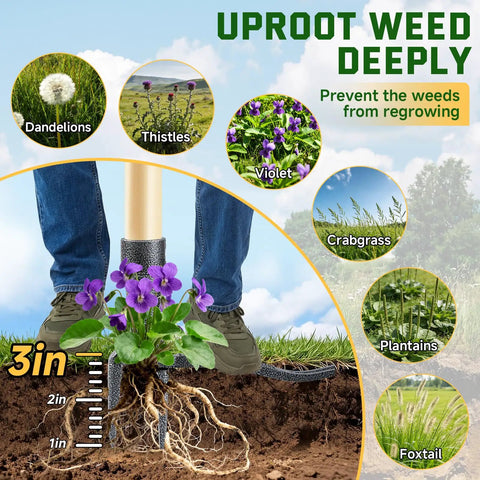 Stand Up Weed Puller Tool With Long Handle And 4 Claw Steel Head uprooting weeds deeply, showing plant roots and soil penetration.