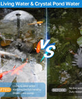 Pond Filter With Built In UV Clarifier And Water Pump Kit For Backyard Ponds And Water Features 660GPH 40W All In One Filter Box before and after comparison with koi fish