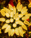 Close-up of glowing yellow decorative Christmas lights clustered together