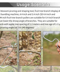 Open Angle Branch Pullers Set For Fruit Trees 100 Pack With 4.4 Inch And 3.4 Inch Branch Spreader Tools for shaping young apple trees.