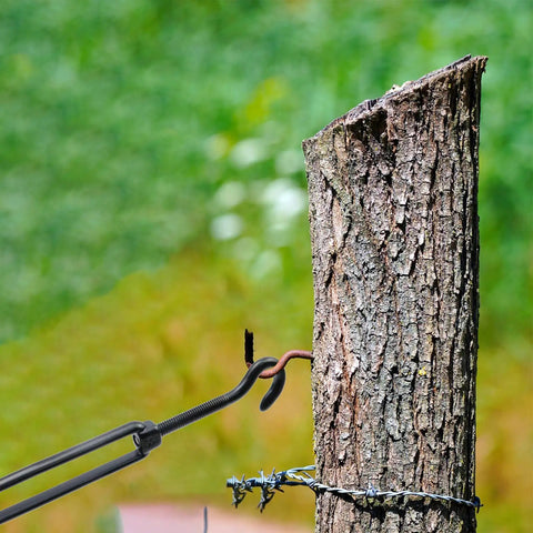 Stainless Steel Turnbuckle Set With Hooks M4 Black 4 Pack used on tree for outdoor tensioning and adjusting wire rope.