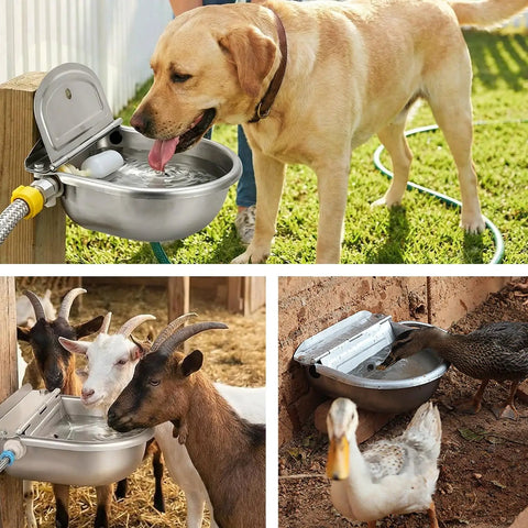 Automatic Dog Water Dispenser With Smart Float Valve Auto Filling Water Bowl For Cats Pups And Livestock Indoor Outdoor Hydration Station with pets drinking.