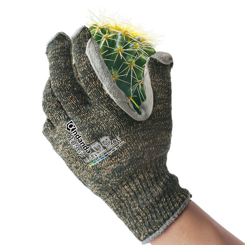 Person wearing Level 5 Cut Resistant Work Gloves For Gardening And Tough Jobs, Aramid And HPPE Safety Gloves With Cow Split Leather, holding a cactus.