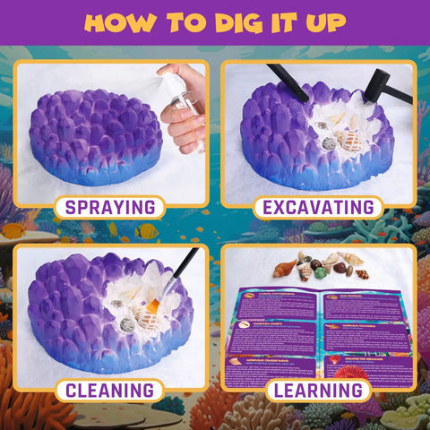Ocean Fossil Dig Kit For Kids Dig Up Real Shells And Seasnails Excavation STEM Marine Biology And Geology Science Toy with coral dig brick