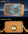 Front and back view of 10W Mini Guitar Amp With Clean And Drive Channels, portable electric guitar amp with wood finish.