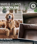 All-In-One Black Leather Repair Kit For Cars, Furniture, Couches, Boots, And Purses - Quick Scratch Repair And Leather Restoration Made Easy, Vinyl Repair Kit To Keep Your Gear Looking Fresh shown restoring leather couch damaged by pet scratches.