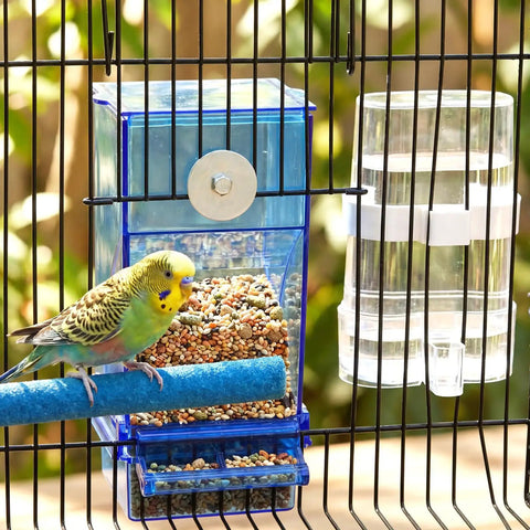 Straight-Up No-Mess Bird Feeder And Water Dispenser Set Featuring Automatic Drinking Bottles And Fresh Food Bowls With A Sturdy Chew Stick And Fast Cleanup Scoop Ideal For Joyful Parakeets Cockatiels And Lovebirds In Bright Blue with a budgie perched on a chew stick.