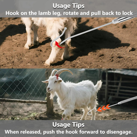 Adjustable Goat And Sheep Catcher Hook With 304 Stainless Steel Leg Hook And Iron Ball, Extendable From 44 To 75 Inches For Quick, Humane Grabs During Health Checks, Milking, And Shearing On The Farm