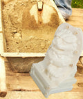 Dope Pair Chinese Lion Statue Molds for Cement or Plastic Casting Reusable Garden Guardian Lion Mold Easy to Use DIY Casting Kit