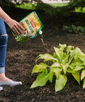Person using Bug Geta Snail And Slug Killer 2 Slug Bait That Stays Effective After Rain For Up To 3 Weeks 6 Lb on garden mulch