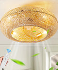 Coastal Boho 20 Inch Ceiling Fan With Light Rattan Caged Flush Mount Enclosed Blades and Remote in modern room decor