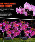 Purple Phalaenopsis Solar Flower Lights 4 Pack Outdoor Waterproof Garden Decor realistic orchids glowing at night