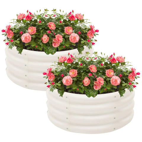 2 Pack 2x1ft Galvanized Raised Garden Bed Outdoor Planter Box with flowers, durable metal construction, open drainage, white coating