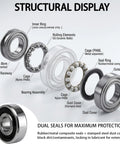 Exploded view of Premium Quality 6203-2RS Sealed Ball Bearings Chrome Steel Double Shielded components, highlighting structure.