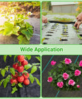 Different uses of Heavy Duty Landscape Fabric With Planting Holes 4 By 25 Feet Ground Cover For Gardens shown with plants growing.