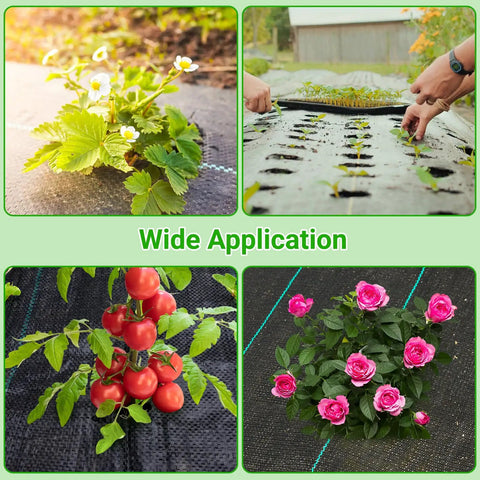 Different uses of Heavy Duty Landscape Fabric With Planting Holes 4 By 25 Feet Ground Cover For Gardens shown with plants growing.