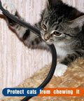 Cat playing with Go-To Split Wire Loom Tube Kit 1/4, 3/8, 1/2, 3/4 Inch By 10 Feet Black Flexible Conduit Protector Tubing