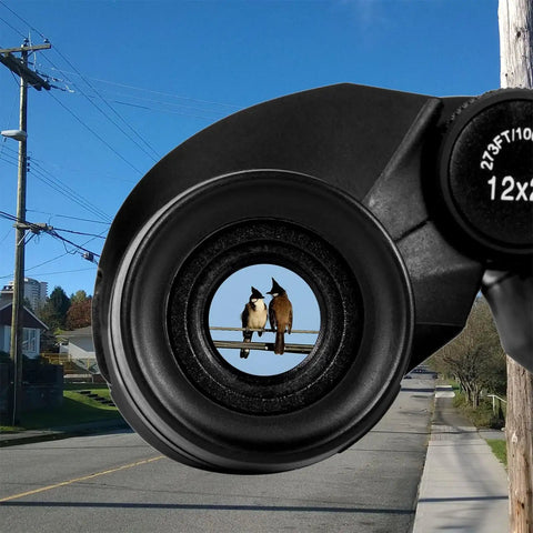 View through 12x25 Compact Binoculars For Adults And Kids With Large Eyepieces focused on birds on a wire, street in background