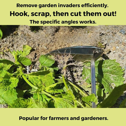 Nejiri Gama Hand Hoe Weeding Sickle used to remove weeds, showcasing stainless steel blade and ergonomic handle in action on soil.