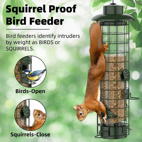 Gravity Fed Squirrel Proof Bird Feeder For Outdoors Easy Hangin With Metal Mesh Design Large 3Lb Capacity Green Keeps Seeds Safe From Squirrels And Feeds Finches Cardinals Chickadees