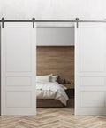 Double Barn Door 84 Inch By 96 Inch With 13 Foot Silver Rail Track Set in a modern interior room setting