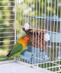 No Fuss Bird Feeder And Water Dispenser Set Packed With Automatic Clear Food Jar And Twelve Oz Drip Free Hydration Cup For Feathered Crew Like Parrots Canaries Lovebirds Budgies In Cool Blue Hanging Style with a lovebird at a cage.