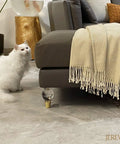 Clear Acrylic Furniture Legs Replacement Set Of 4 With Gold Metal Detail Sleek Modern Transparent DIY Sofa Feet