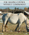 Horse wearing Two Pack Leather Horse Hobbles With Anti Kick Design Single Leg Hobble for secure grazing in open field
