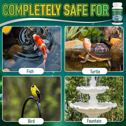 Pro Pond Muck Reducer For Fish Ponds Baths And Fountains safe for fish, turtles, birds, and fountains