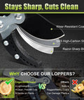 Close-up of SK5 high-carbon steel blade with wear-resistant coating and razor-sharp edge on heavy duty extendable branch loppers.