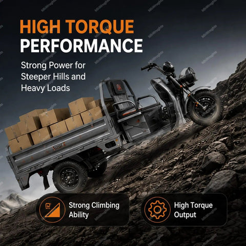Heavy Duty Differential Brushless Motor With Pure Copper Windings Rolling Heavy And Smashing Throttle When Upgrading Cargo Trikes Or Electric Rickshaws At 4000 Rpm And 2000 Watts, shown on an electric cargo trike.