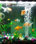 0.9m 3.3ft Clear Silicone Tubing 19mm ID By 23mm OD in aquarium with fish and plants, showcasing drainage and siphoning use