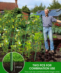 Two Pack A Frame Cucumber Trellis Garden Trellis For Climbing Plants Outdoor Raised Bed Plant Grow Support For Tomato Squash Vegetable And Flower 33 By 47 Inches Each in use with plants